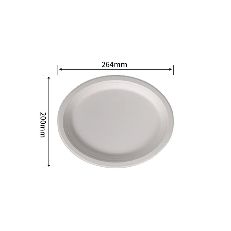 20.3 cm Oval Plate · Sugarcane Plates · product image